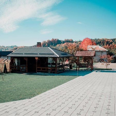 Hotel Casa Dumitru Ceraşul Zewnętrze zdjęcie