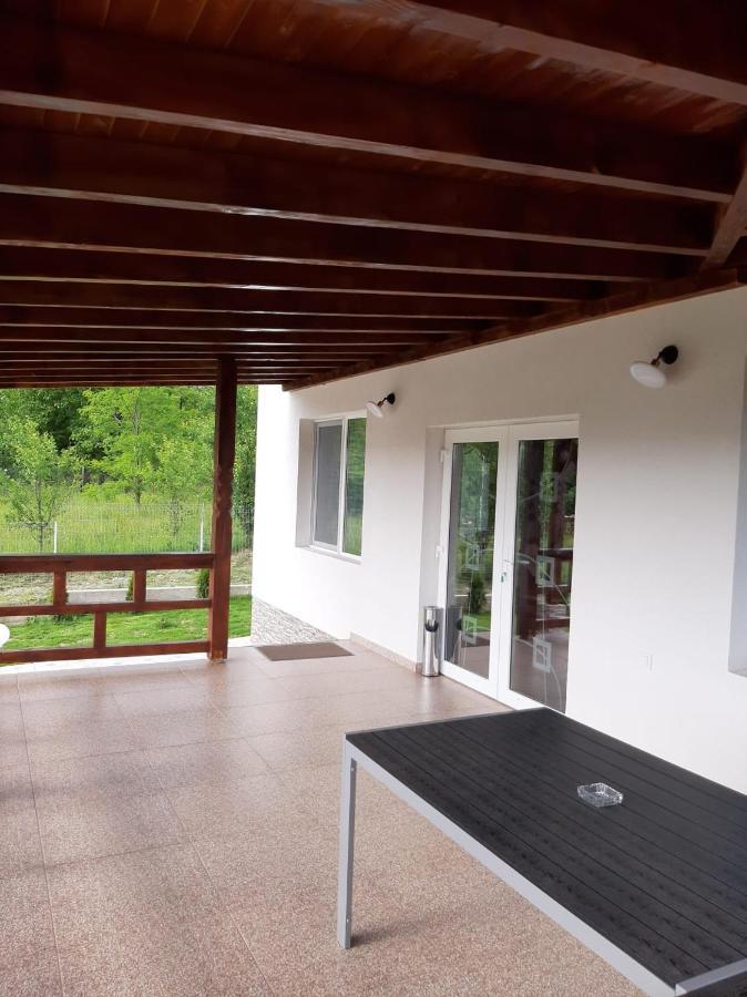 Hotel Casa Dumitru Ceraşul Zewnętrze zdjęcie