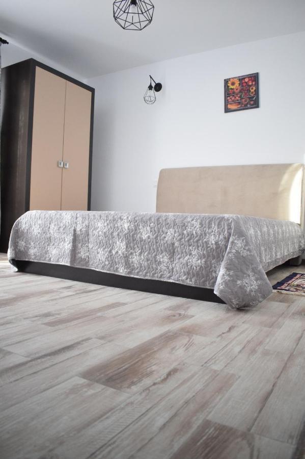 Hotel Casa Dumitru Ceraşul Zewnętrze zdjęcie