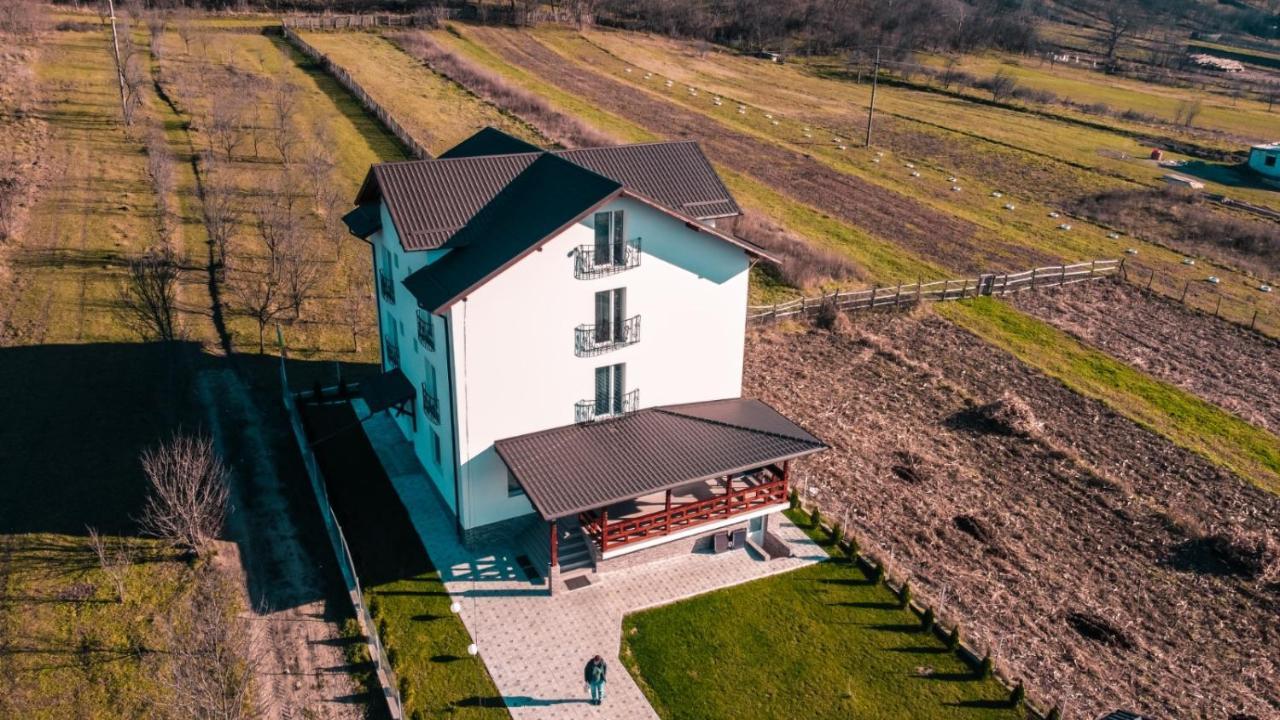 Hotel Casa Dumitru Ceraşul Zewnętrze zdjęcie