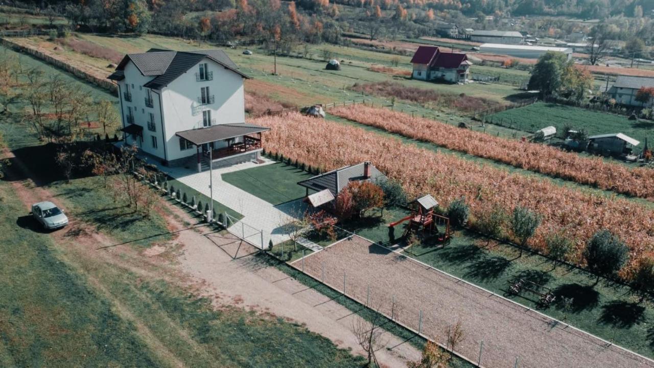 Hotel Casa Dumitru Ceraşul Zewnętrze zdjęcie