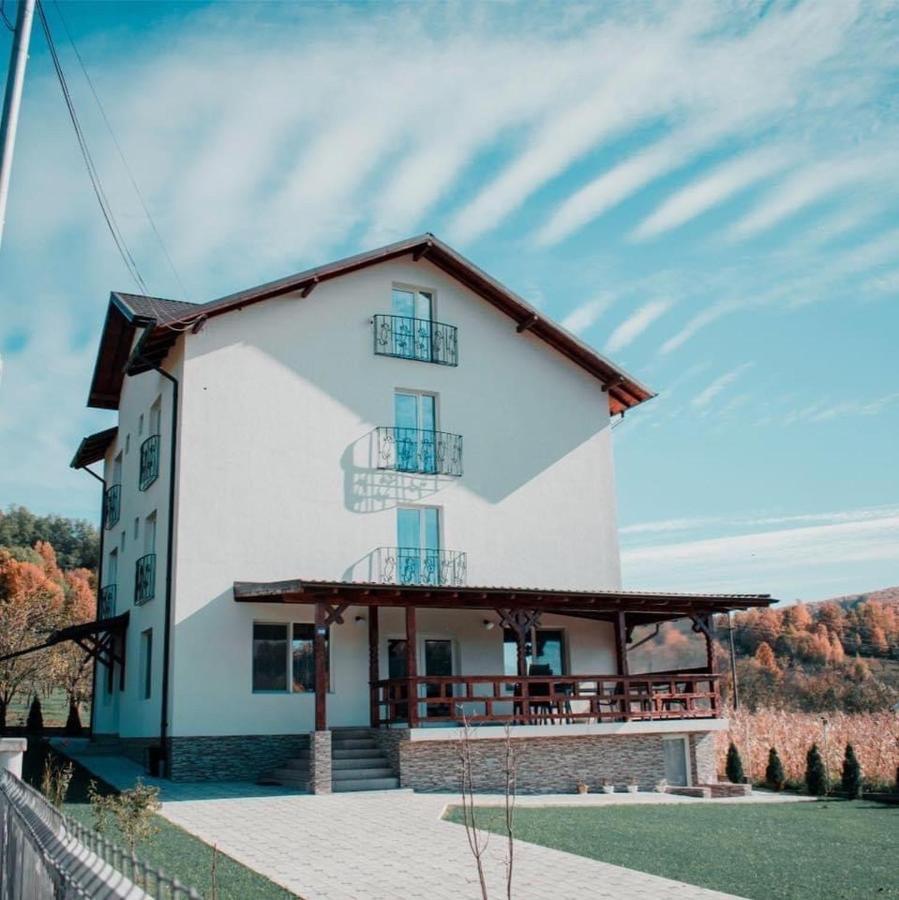 Hotel Casa Dumitru Ceraşul Zewnętrze zdjęcie